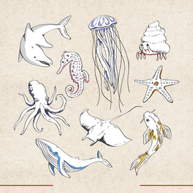 矢量动物 矢量植物 插画 手绘