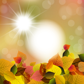 矢量动物 矢量植物 插画 手绘