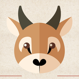 矢量动物 矢量植物 插画 手绘