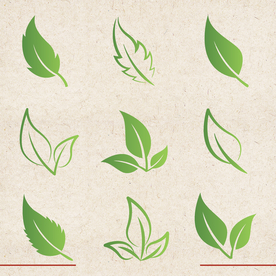 矢量动物 矢量植物 插画 手绘