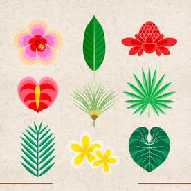 矢量动物 矢量植物 插画 手绘