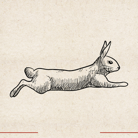 矢量动物 矢量植物 插画 手绘