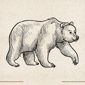 矢量动物 矢量植物 插画 手绘