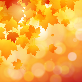 矢量动物 矢量植物 插画 手绘