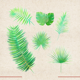 矢量动物 矢量植物 插画 手绘