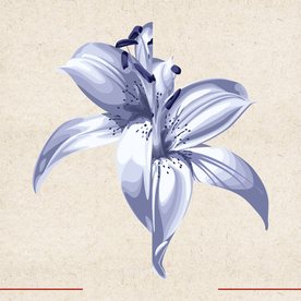 矢量动物 矢量植物 插画 手绘