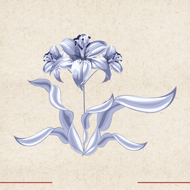 矢量动物 矢量植物 插画 手绘