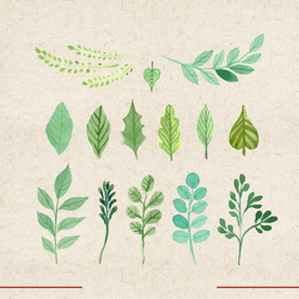 矢量动物 矢量植物 插画 手绘