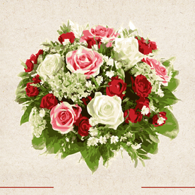 矢量动物 矢量植物 插画 手绘