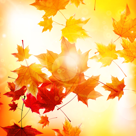 矢量动物 矢量植物 插画 手绘