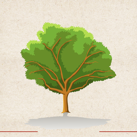 矢量动物 矢量植物 插画 手绘