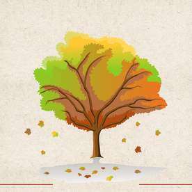 矢量动物 矢量植物 插画 手绘