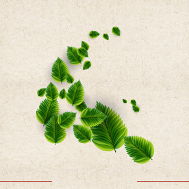 矢量动物 矢量植物 插画 手绘