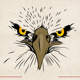 矢量动物 矢量植物 插画 手绘