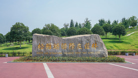 松雅湖国际友谊林