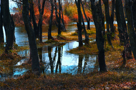 大理海舌湿地公园