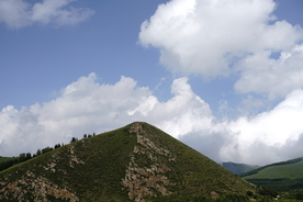 草原 天空  森林