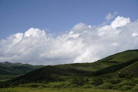 草原 天空 森林
