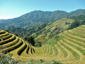 梯田