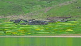 梯田 田园 农田 田野 梯田风