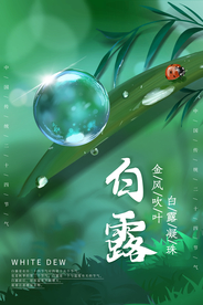 白露传统节日促销活动宣传海报