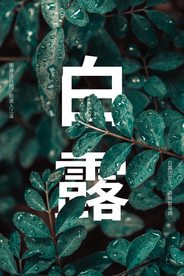 白露传统节日促销活动宣传海报