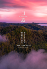 白露传统节日促销活动宣传海报