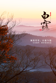 白露传统节日促销活动宣传海报