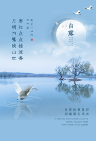 白露传统节日促销活动宣传海报