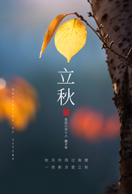 立秋传统节日宣传活动海报素材