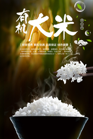 有机大米促销活动宣传海报素材