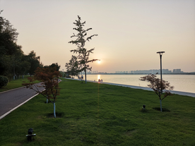 湖边草坪自然生态背景素材