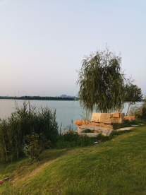 湖面湖边石头自然生态背景素材