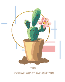 多肉植物装饰画