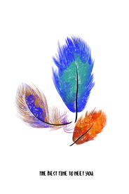 羽毛玄关装饰画