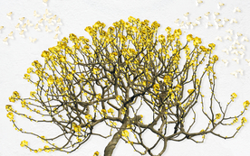 金色树枝装饰画