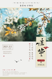 中国风惊蛰海报