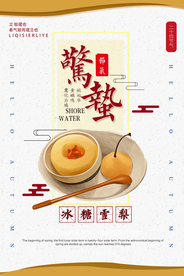 简约插画惊蛰海报