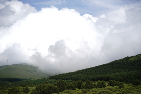 草原  天空 森林