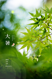 大暑传统节日活动宣传海报