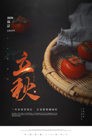 立秋传统节日活动促销宣传海报