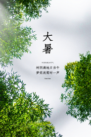 大暑传统节日活动促销宣传海报