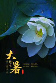 大暑传统节日活动促销宣传海报