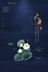 大暑传统节日活动促销宣传海报