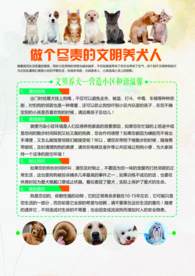 文明养犬社会公益活动宣传海报