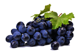 葡萄水果新鲜超市海报素材