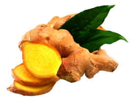 生姜食材配料姜片海报素材