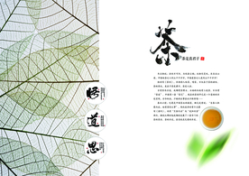 茶叶画册