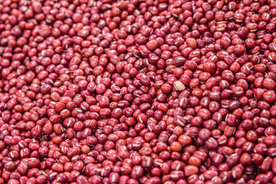 红豆