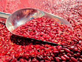 红豆